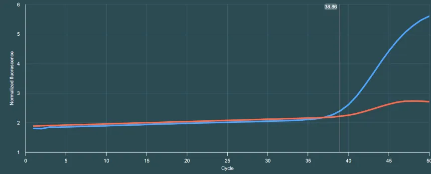 Not All **'Late CTs' are Identical**